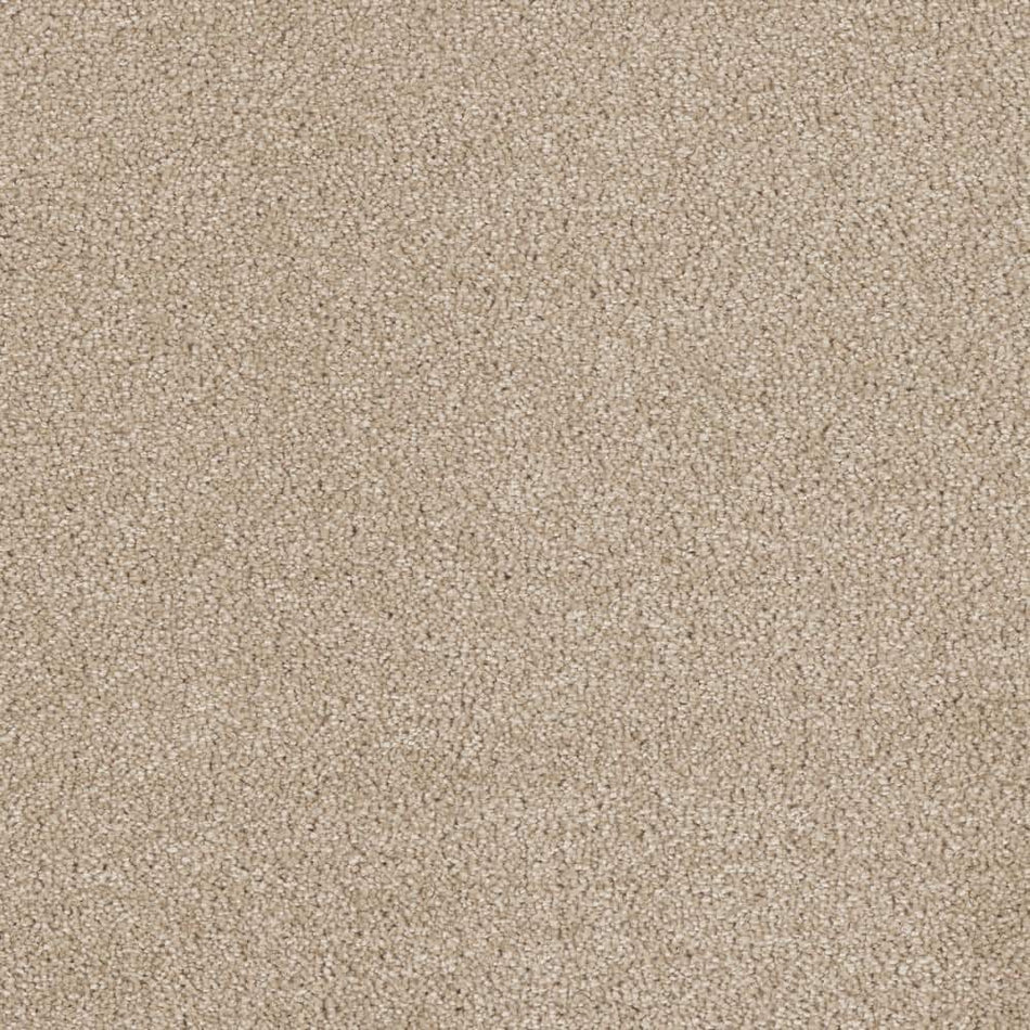 Home Decorators Collection Moonlight  - Luminous - Beige 32 oz. SD Polyester Texture Installed Carpet
