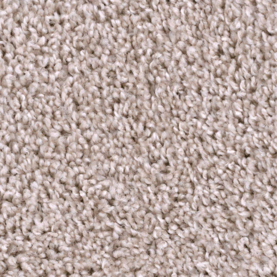 TrafficMaster Founder - Master - Beige 18 oz. SD Polyester Texture Installed Carpet