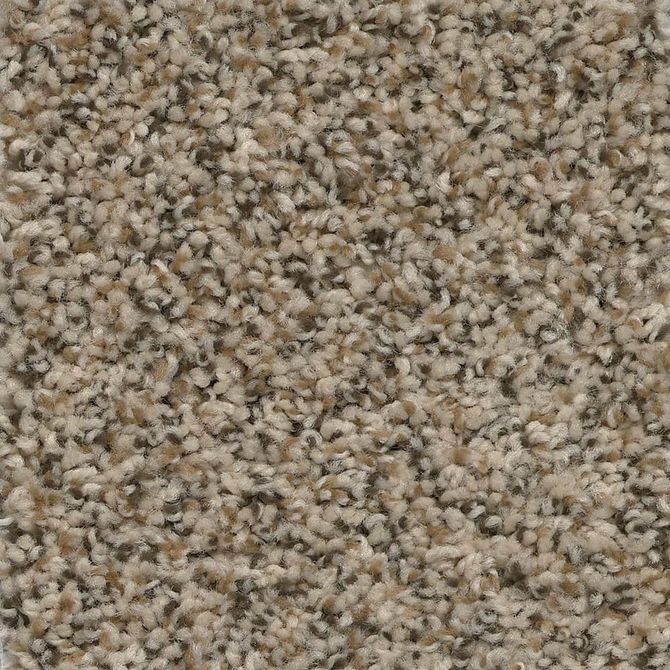 TrafficMaster Promenade - Mingle - Beige 24 oz. SD Polyester Texture Installed Carpet