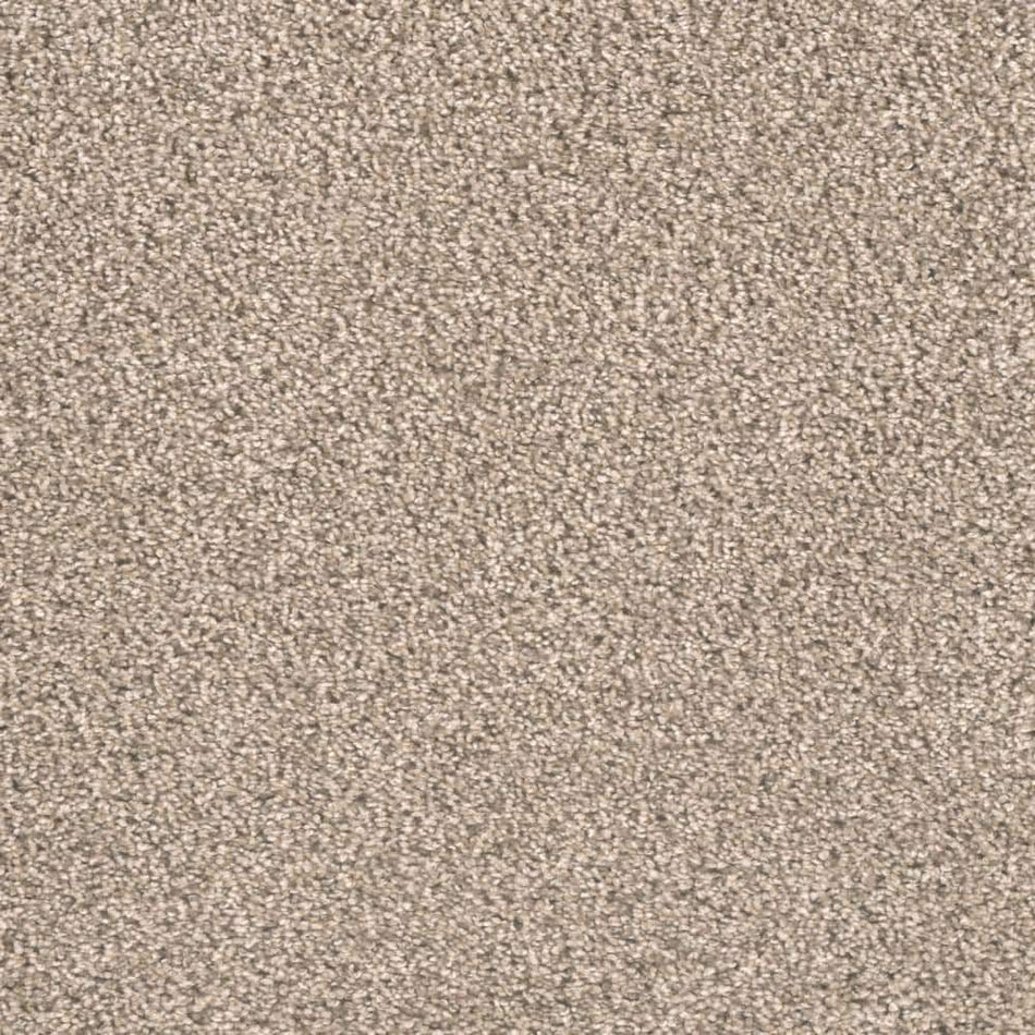 TrafficMaster Shadow - Mist - Beige 40 oz. SD Polyester Texture Installed Carpet