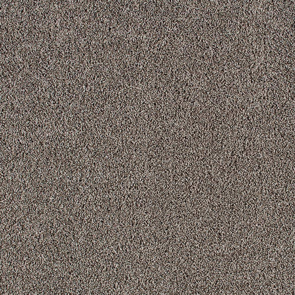 Lifeproof Huntcliff II Mystic Gray 39 oz. Triexta Texture Installed Carpet