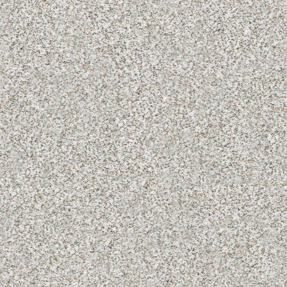 Lifeproof Karma II - Mystic - Beige 50.5 oz. Nylon Texture Installed Carpet