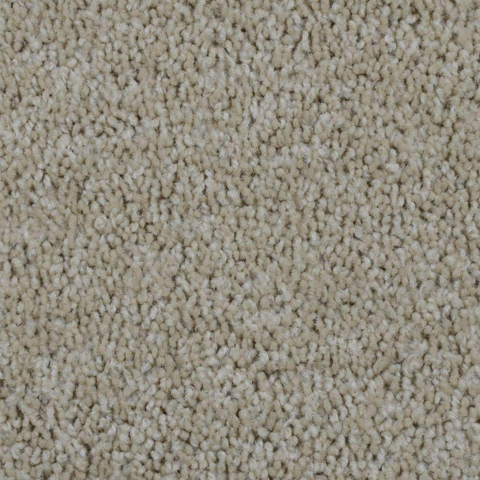 TrafficMaster Bold Signature  - Oakton - Beige 16 oz. SD Polyester Texture Installed Carpet