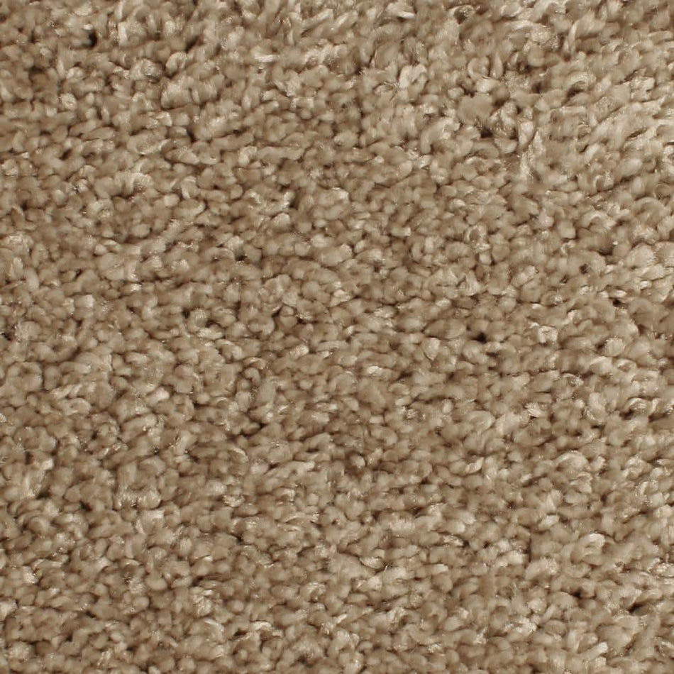 Home Decorators Collection Pioneer - Oatbarn - Brown 73.5 oz. SD Polyester Texture Installed Carpet