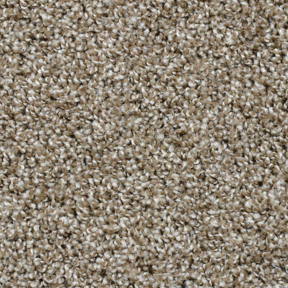 TrafficMaster Dignified  - Palisades - Brown 16 oz. SD Polyester Texture Installed Carpet