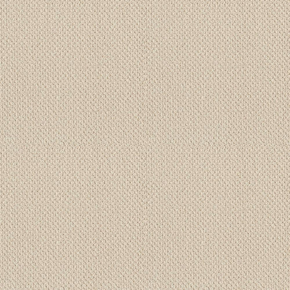 Lifeproof Lightbourne - Pearl - Beige 39.3 oz. Nylon Loop Installed Carpet