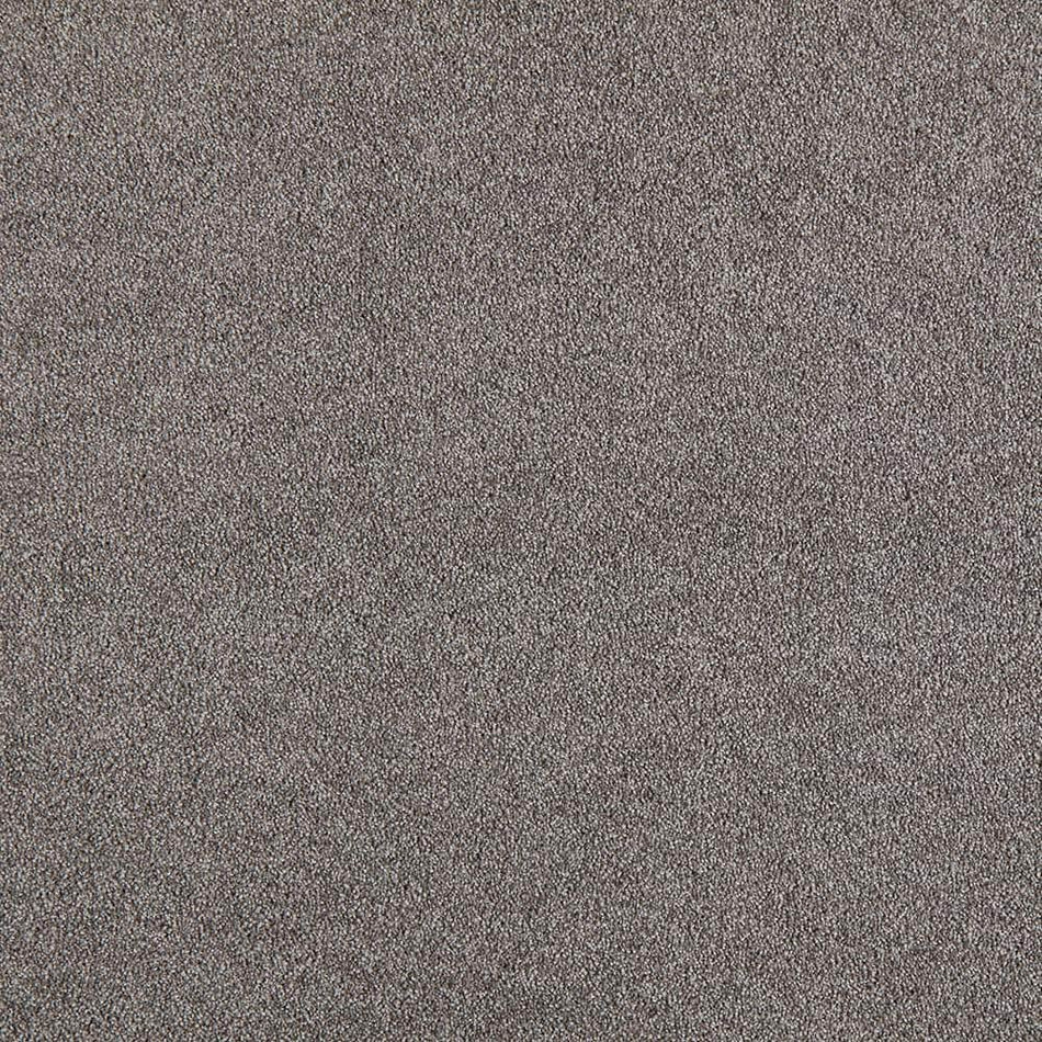 Lifeproof Superiority I  - Peppercorn - Gray 45 oz. Triexta Texture Installed Carpet
