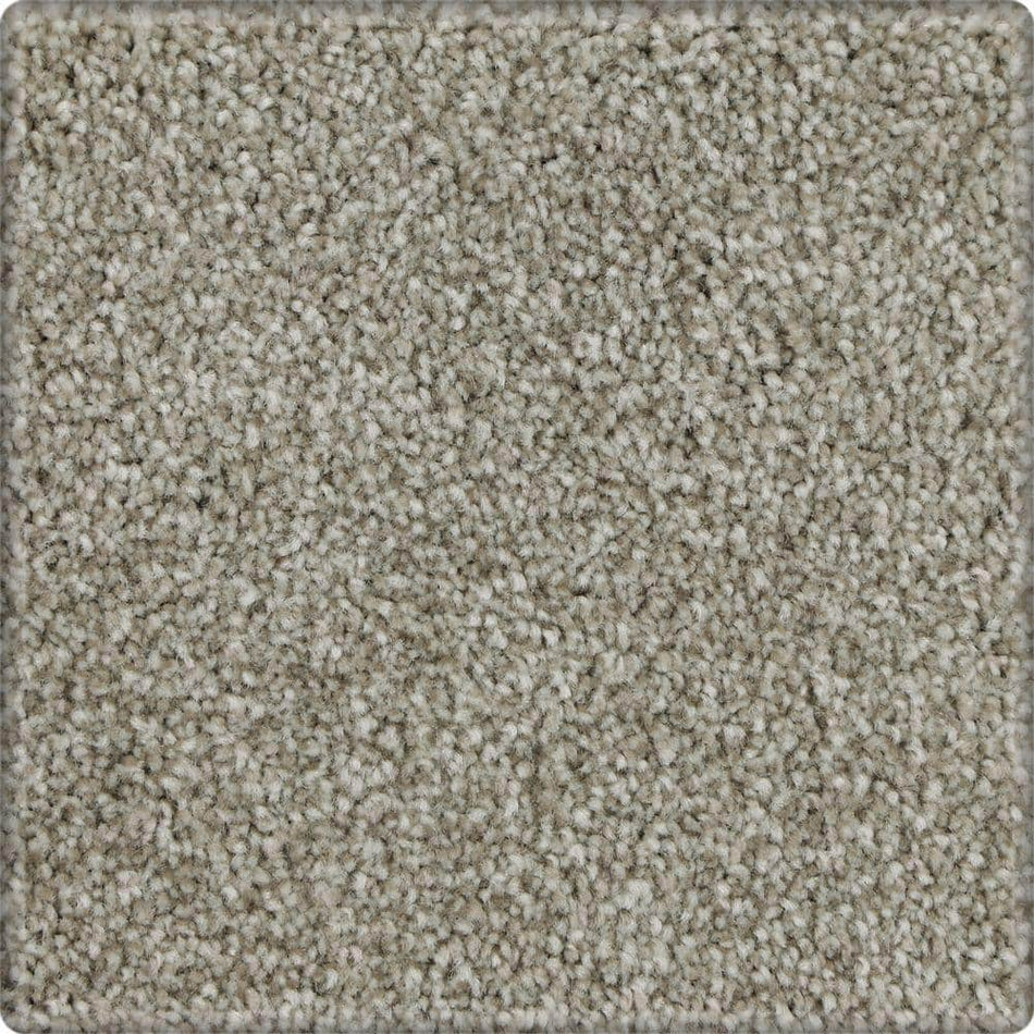 Lifeproof with Petproof Technology Denfort  - Perfect Taupe - Brown 70 oz. Triexta Texture Installed Carpet