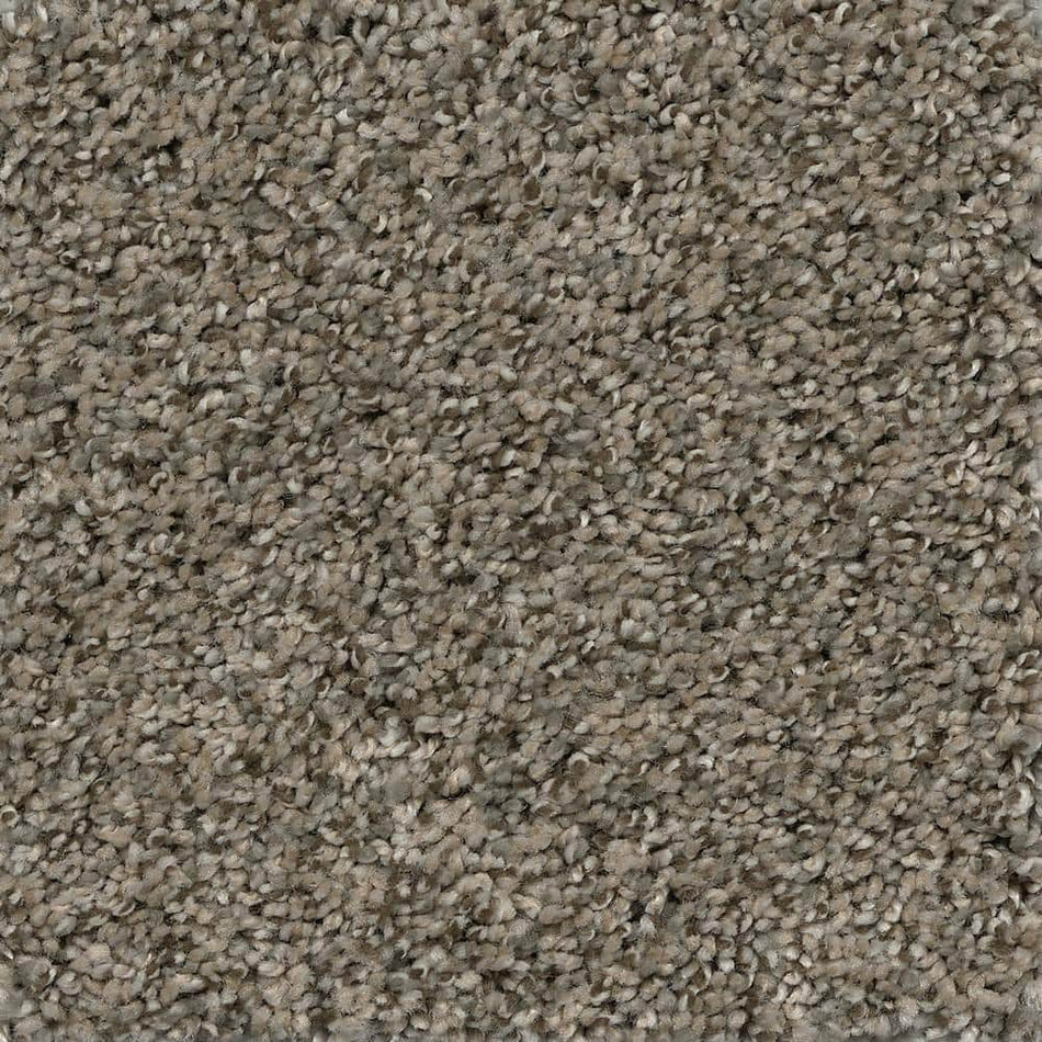 TrafficMaster Otis - Popular - Gray 40 oz. SD Polyester Texture Installed Carpet