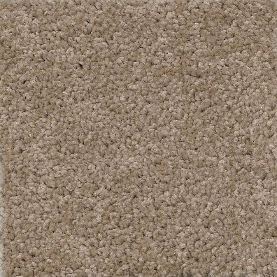 TrafficMaster Matchless  - Prairie - Beige 24 oz. SD Polyester Texture Installed Carpet