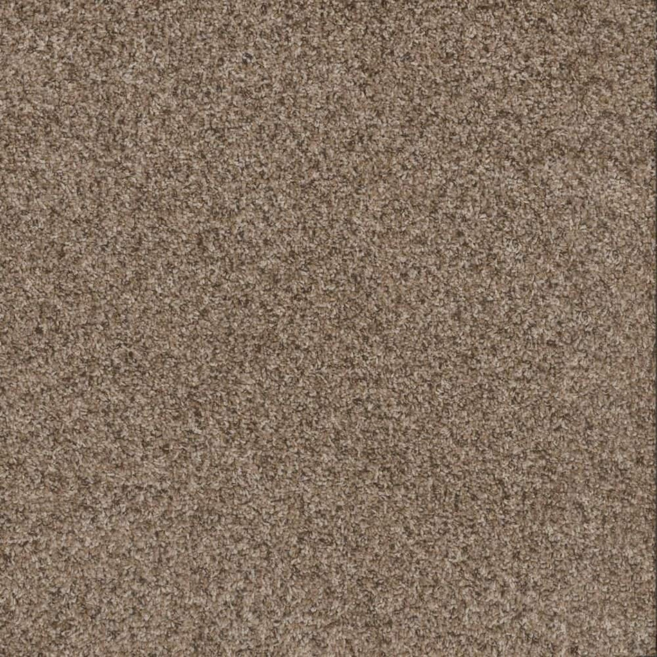 TrafficMaster Dream Wish  - Pursue - Beige 32 oz. SD Polyester Texture Installed Carpet