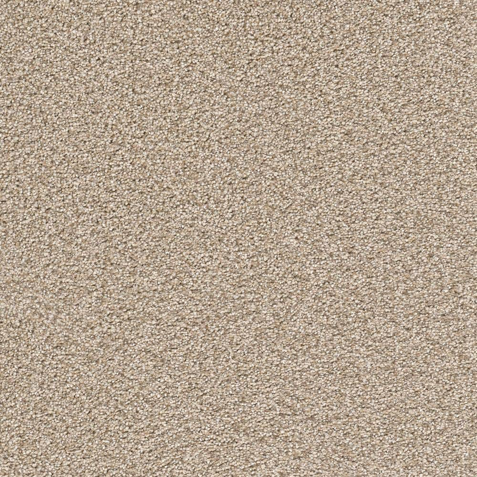 Home Decorators Collection Perfected II  - Refined - Beige 60 oz. SD Polyester Texture Installed Carpet