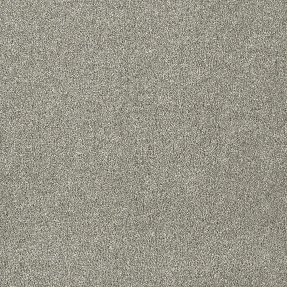 Home Decorators Collection Chastain II  - Riley - Gray 60 oz. SD Polyester Texture Installed Carpet