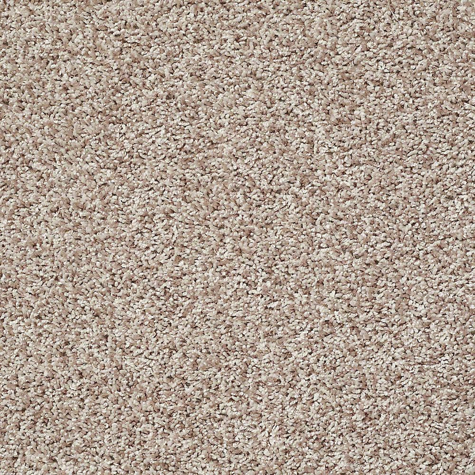 TrafficMaster Charming - Scone - Beige 24 oz. Polyester Twist Installed Carpet