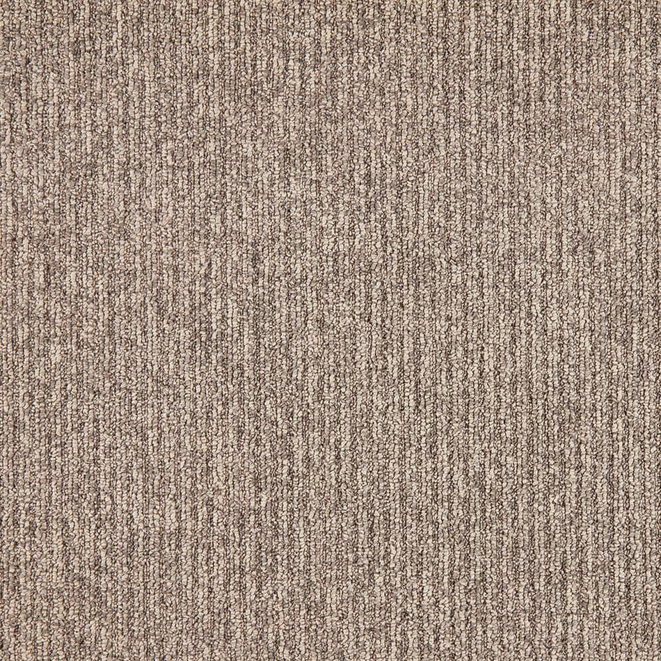 TrafficMaster Finton  - Sequoia - Brown 24 oz. SD Polyester Loop Installed Carpet