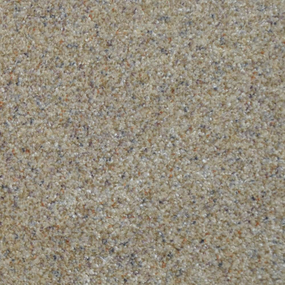Home Decorators Collection Port Abigail II  - Shoals - Beige 60 oz. SD Polyester Texture Installed Carpet