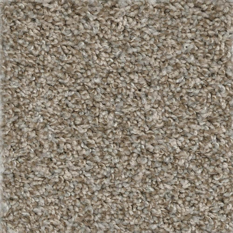 TrafficMaster Montrose  - Sonic - Beige 35 oz. SD Polyester Texture Installed Carpet