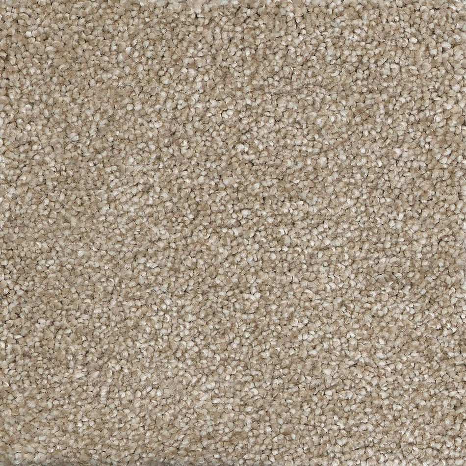 TrafficMaster Fast Performer - Sonoma - Beige 40 oz. SD Polyester Texture Installed Carpet