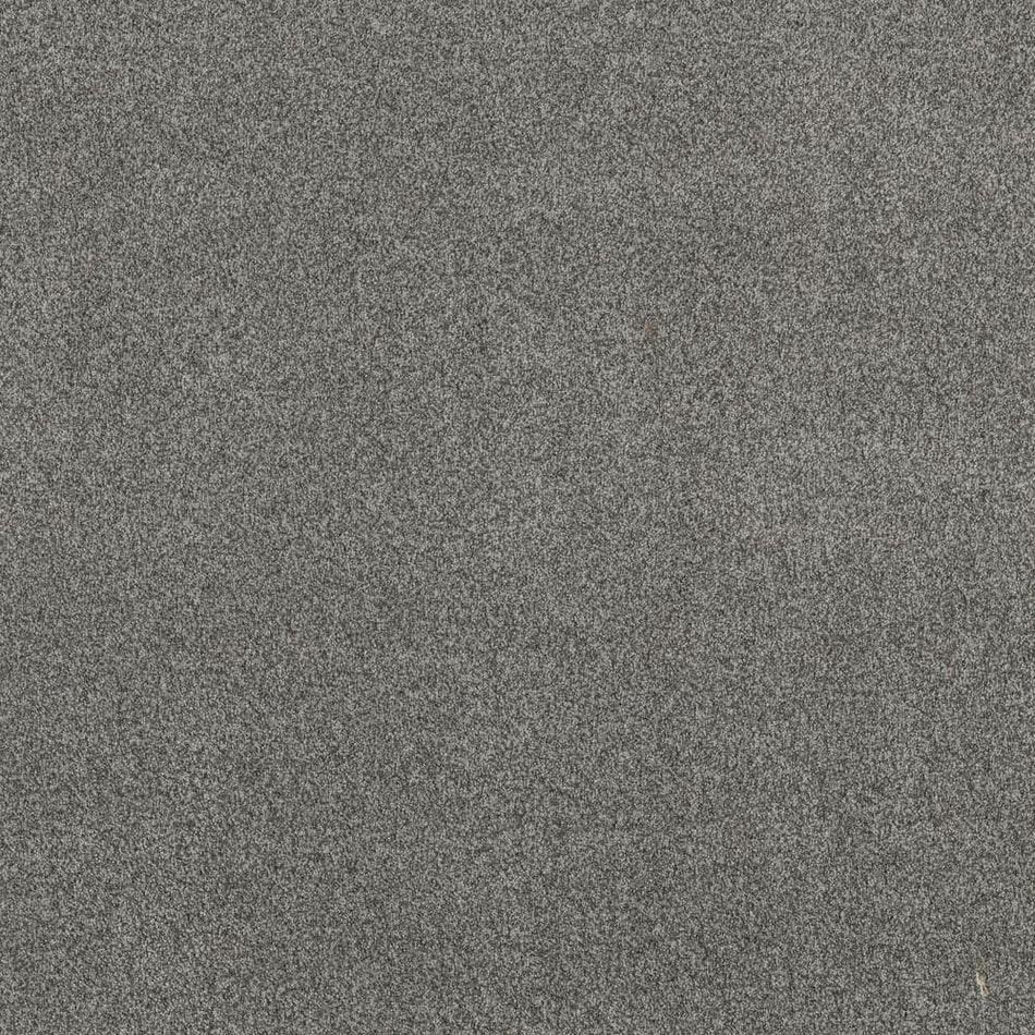 Lifeproof Urban Artifact II - Sterling - Gray 60.9 oz. Nylon Texture Installed Carpet