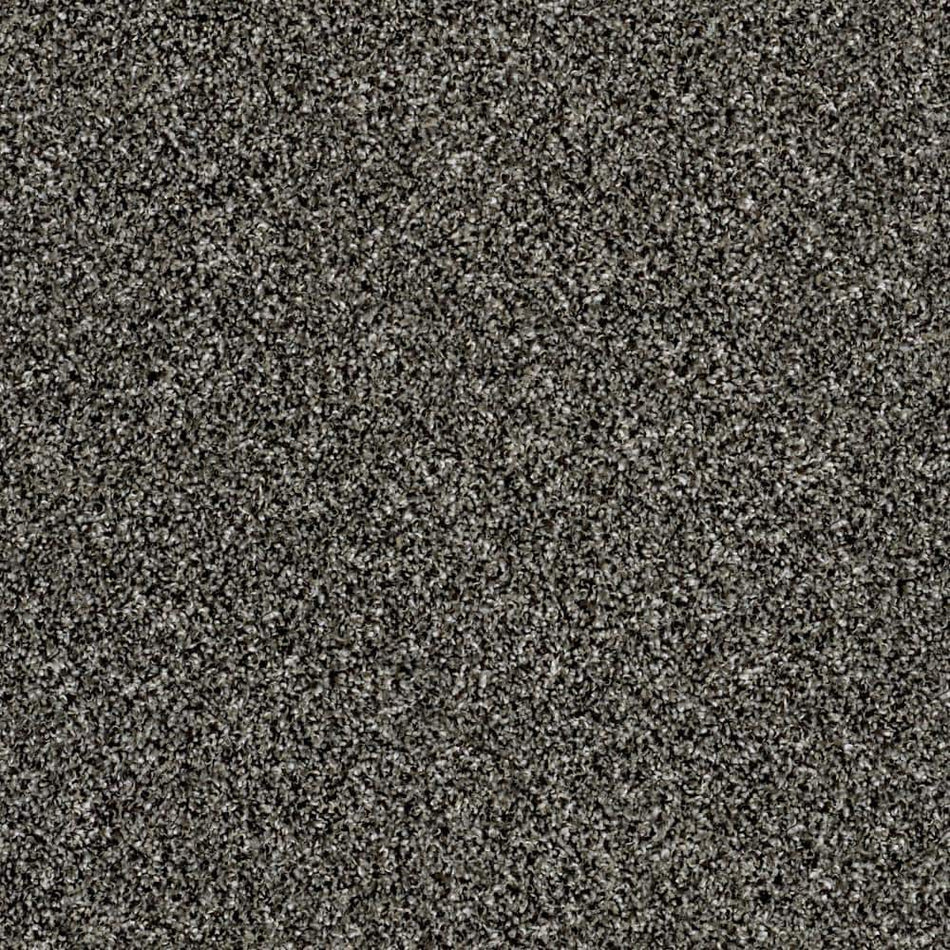 Home Decorators Collection Tradeshow II - Stone Palace - Gray 48 oz. SD Polyester Texture Installed Carpet