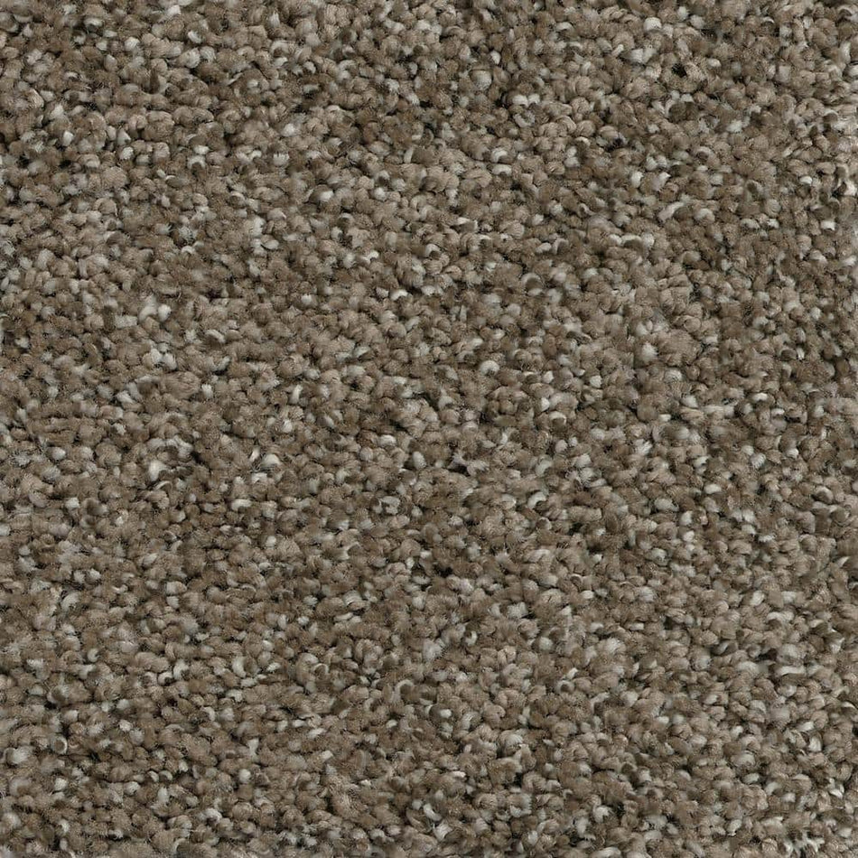 Home Decorators Collection Trendy Threads I  - Stunner - Beige 40 oz. SD Polyester Texture Installed Carpet