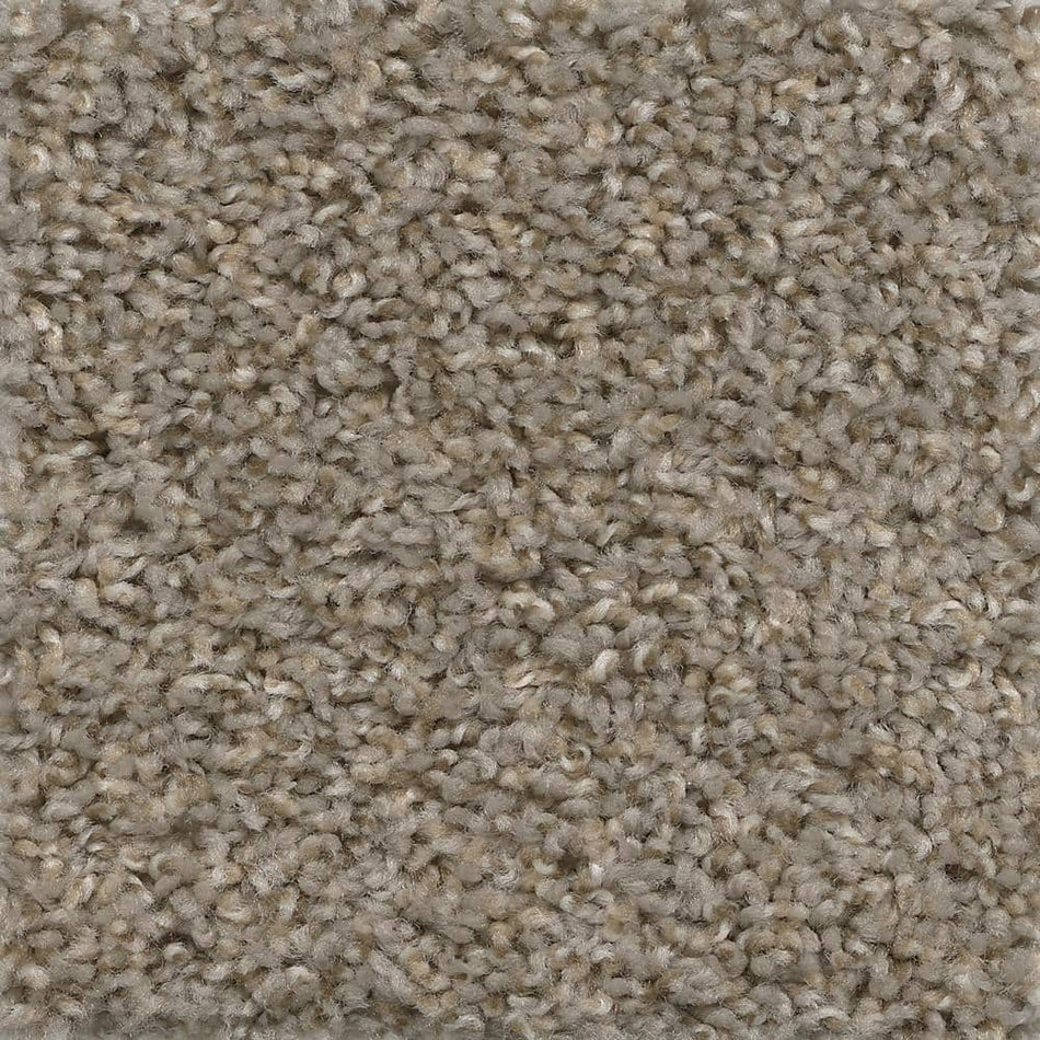 TrafficMaster Wonder - Stunner - Gray 20 oz. SD Polyester Texture Installed Carpet