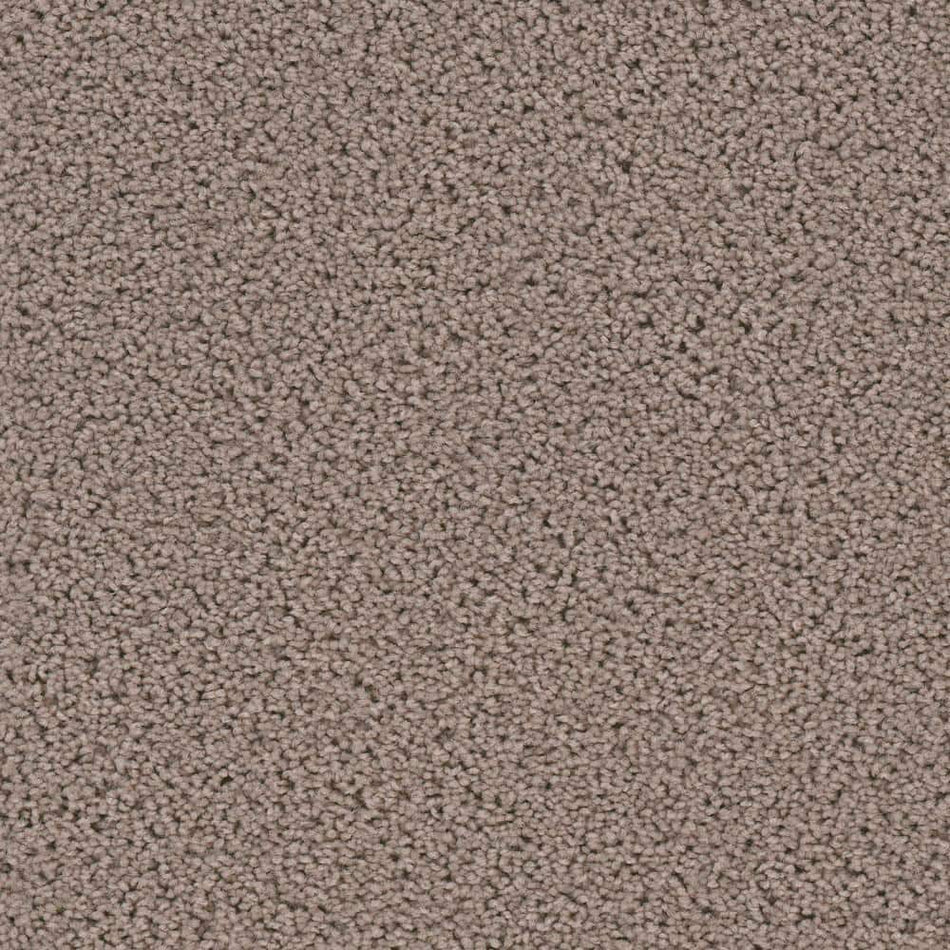 TrafficMaster Added Value  - Tally - Gray 24 oz. SD Polyester Texture Installed Carpet