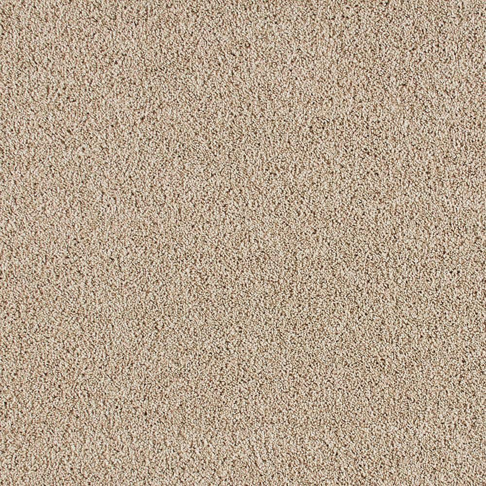 Lifeproof Huntcliff II Tawny Tan Beige 39 oz. Triexta Texture Installed Carpet