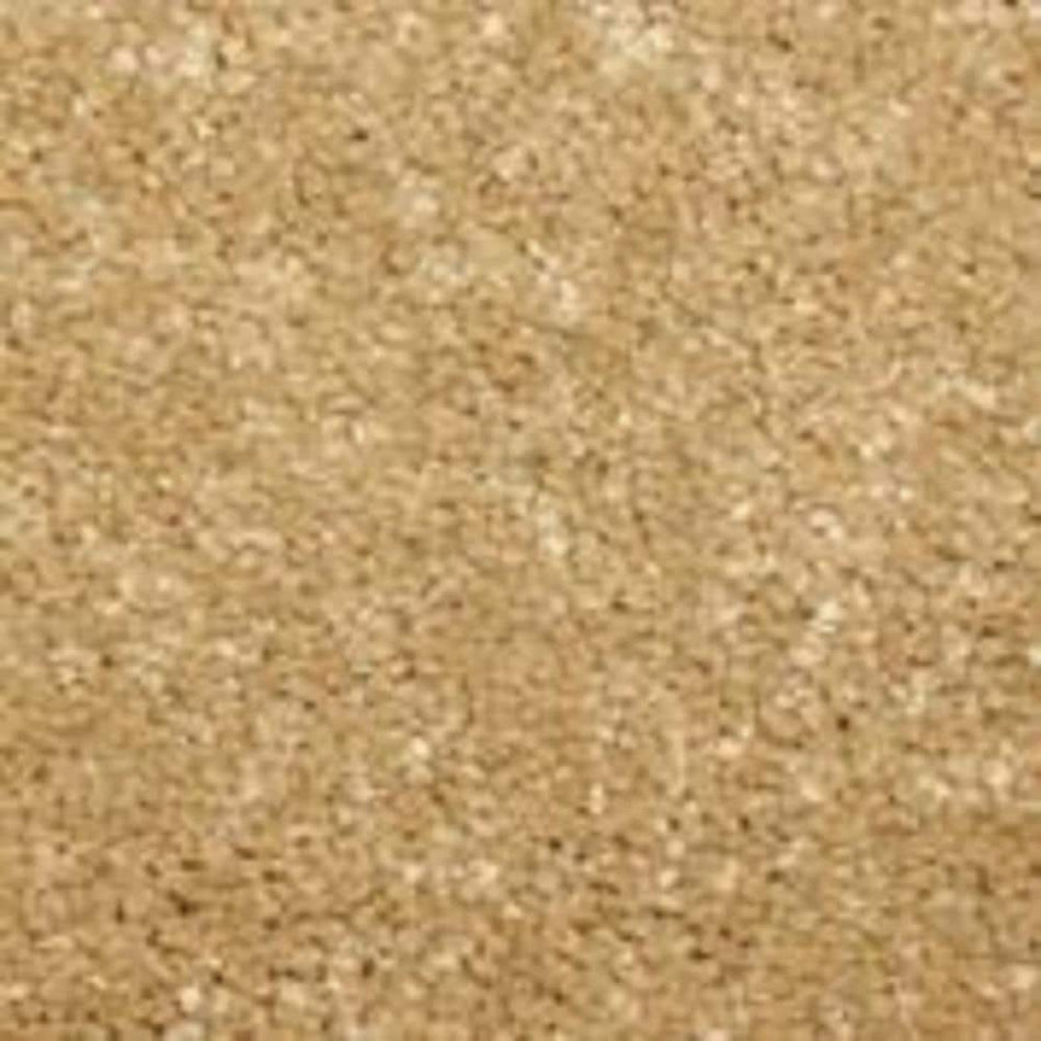 Home Decorators Collection Sycamore II - Teak - Brown 58 oz. SD Polyester Texture Installed Carpet