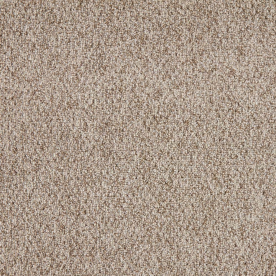 TrafficMaster Lanwick  - Tender Moment - Beige 19 oz. Polyester Pattern Installed Carpet