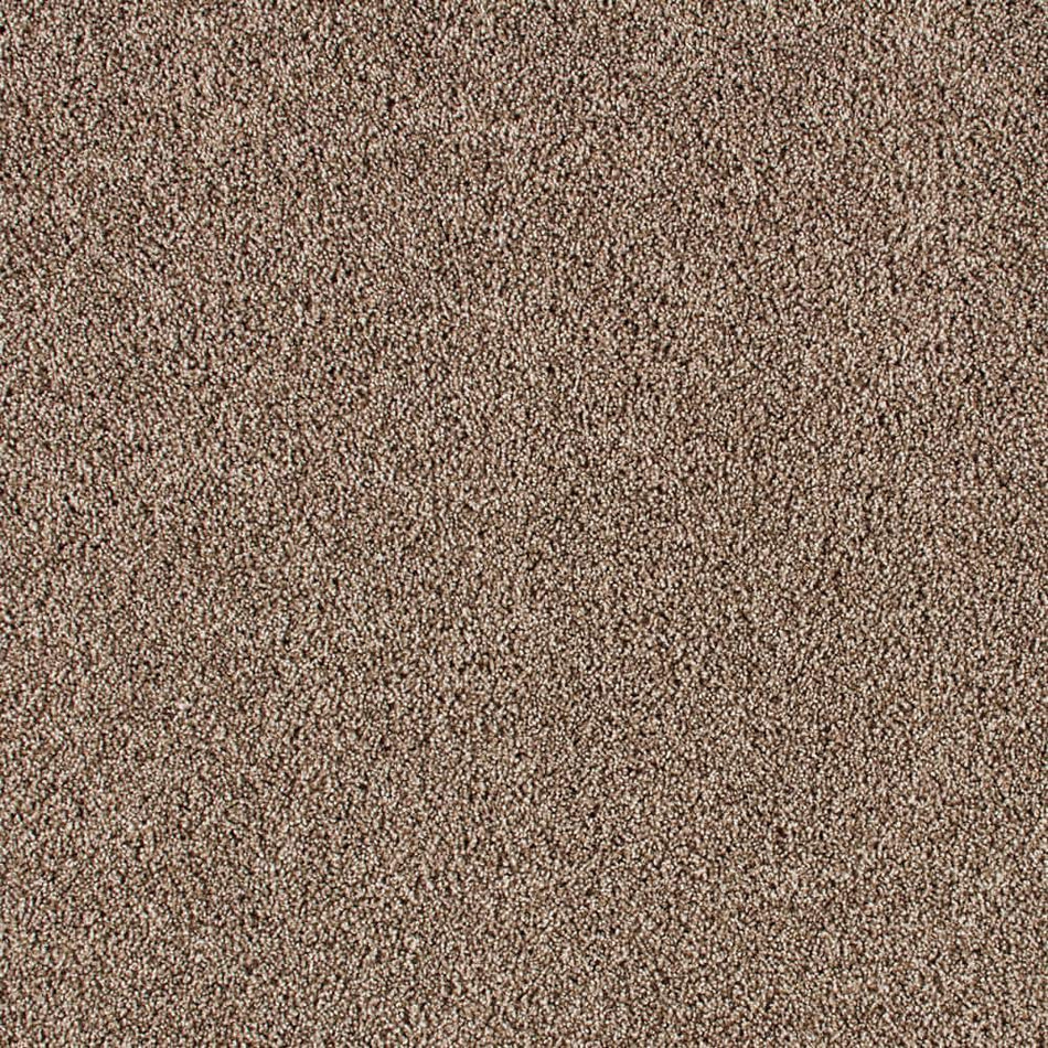 Lifeproof Huntcliff II Tiki Hut Beige 39 oz. Triexta Texture Installed Carpet