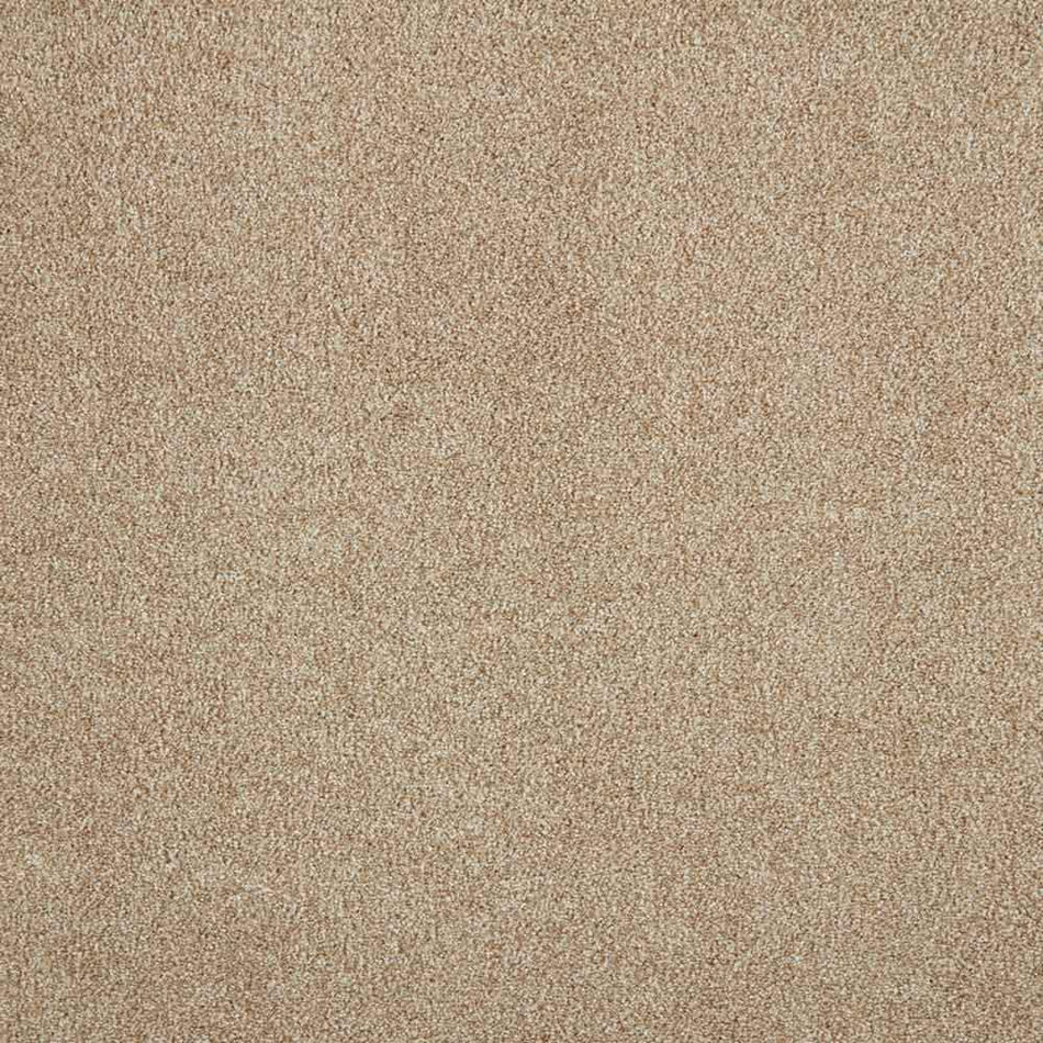 Lifeproof Phenomenal II  - Turnstone - Beige 62.7 oz. Triexta Texture Installed Carpet