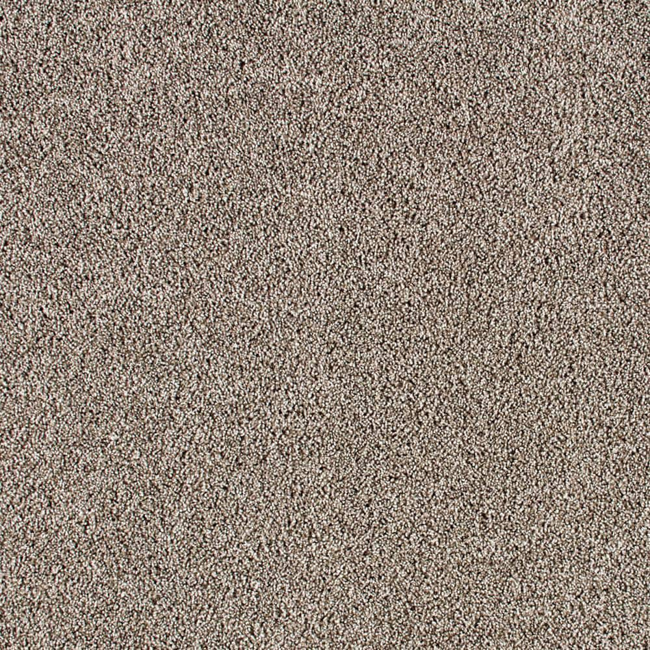 Lifeproof Huntcliff I Vienna Smoke Gray 31 oz. Triexta Texture Installed Carpet